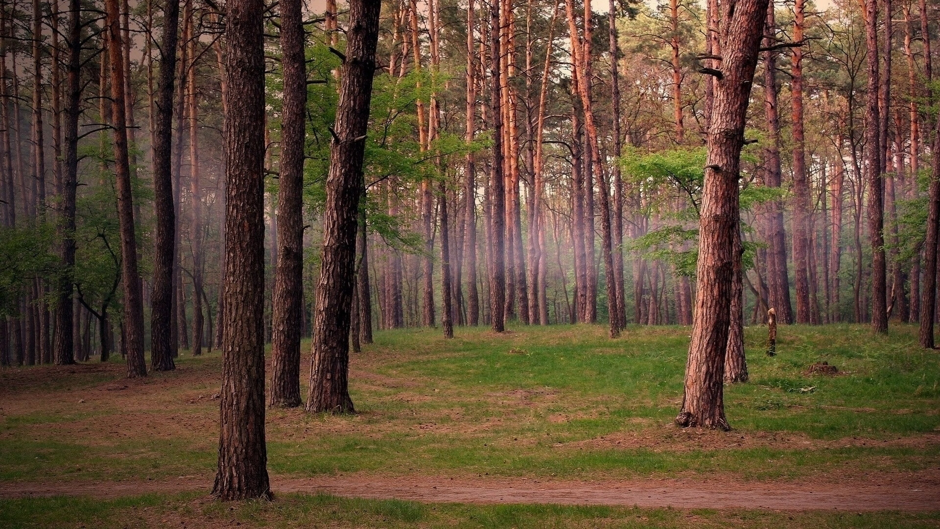 世界学生山地马拉松：耐力选手逆转引注目，山地马拉松最好成绩